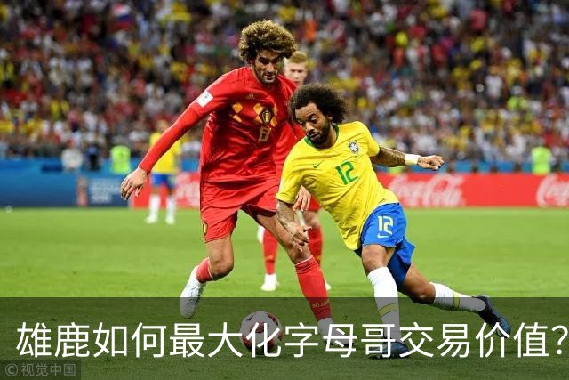 雄鹿如何最大化字母哥交易价值？等竞争对手 或许热火会提高报价